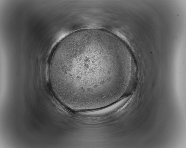 X0000087581171200704271300