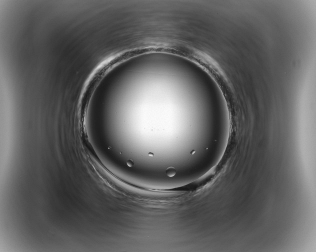 X0000087581172200704271300