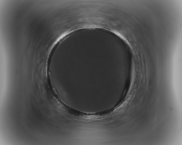 X0000087581173200704271300