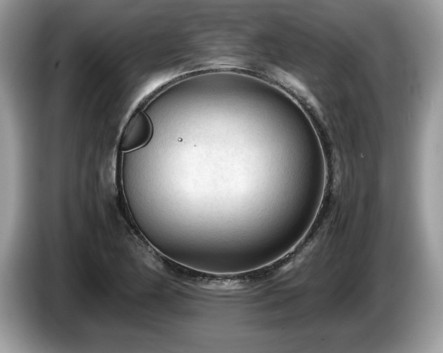 X0000087581174200704271300