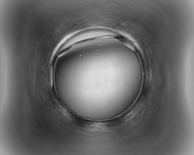 X0000087581175200704271300