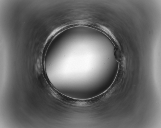 X0000087581176200704271300