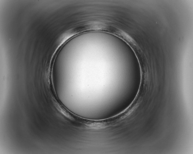 X0000087581178200704271300