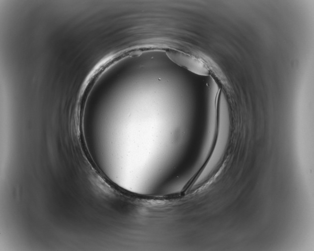 X0000087581180200704271300