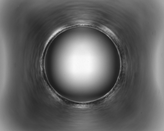 X0000087581182200704271300