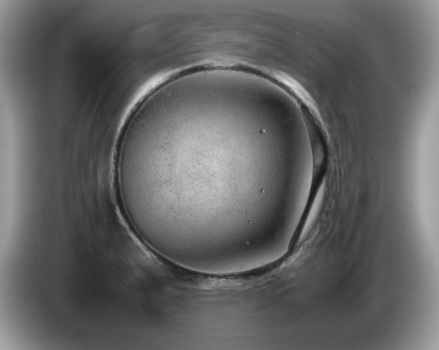 X0000087581183200704271300
