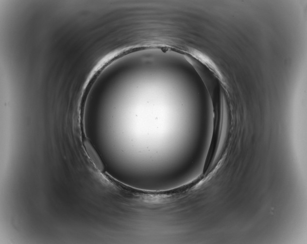 X0000087581184200704271300
