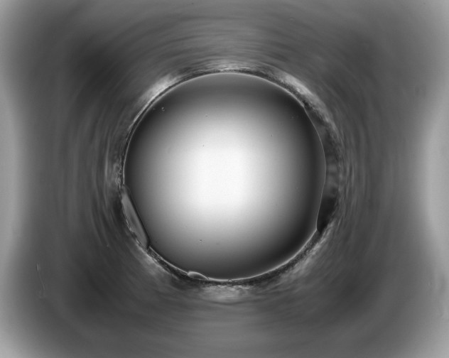X0000087581185200704271300
