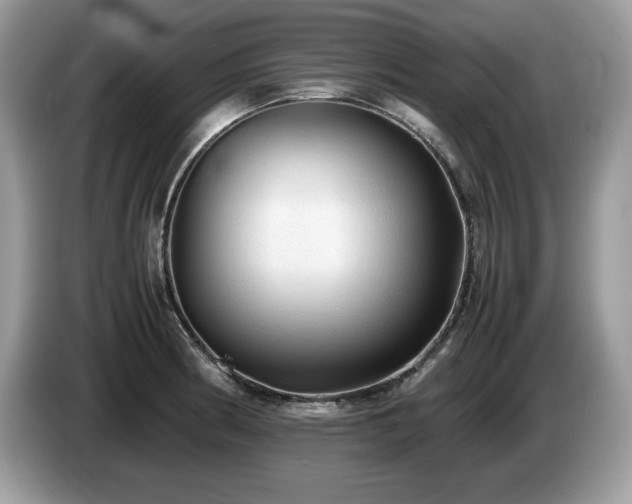X0000087581186200704271300