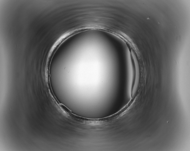 X0000087581188200704271259