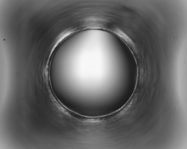 X0000087581190200704271259