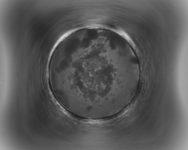 X0000087581191200704271259