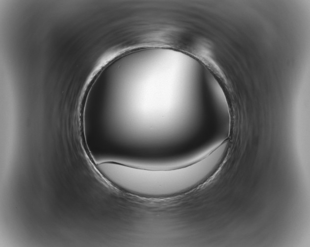 X0000087581192200704271259