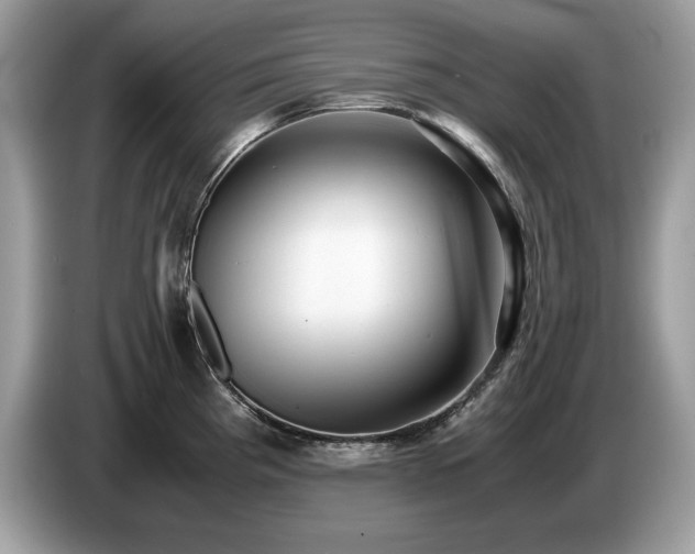 X0000087581193200704271259