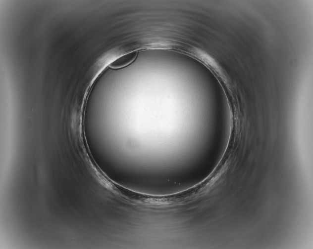 X0000087581194200704271259