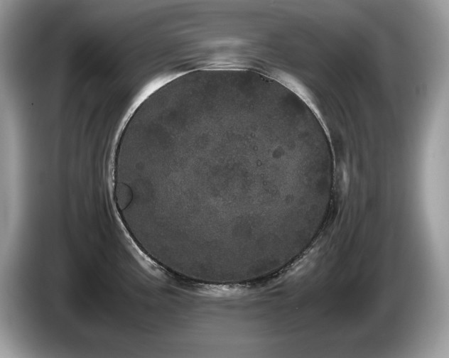 X0000087581195200704271259