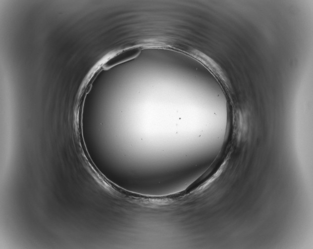 X0000087581196200704271259