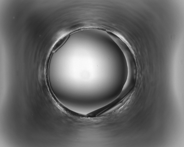 X0000087581197200704271259