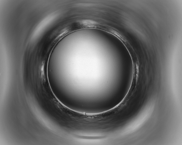 X0000087581198200704271259