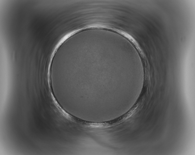 X0000087581199200704271259