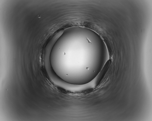 X0000087581202200704271259