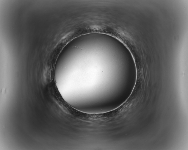X0000087581205200704271259