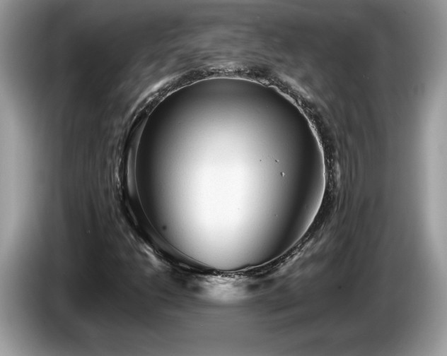 X0000087581206200704271259