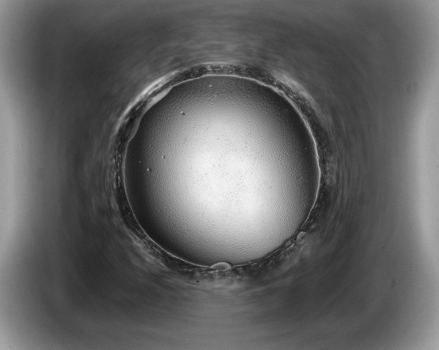 X0000087581208200704271259