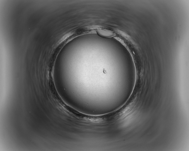 X0000087581209200704271259