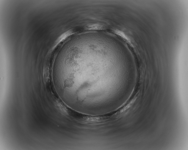 X0000087581211200704271259