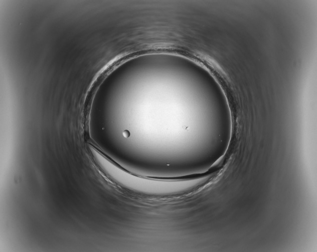 X0000087581212200704271259