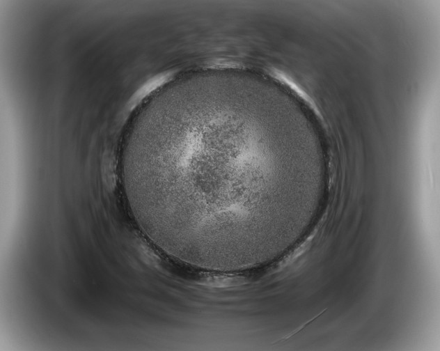 X0000087581213200704271259