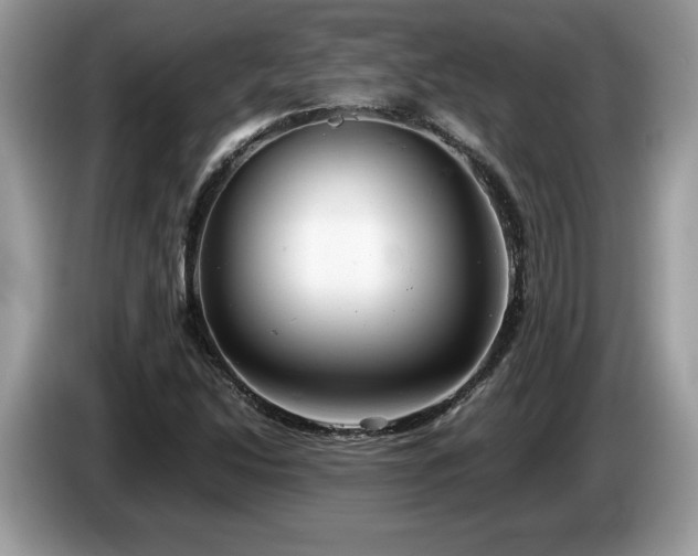 X0000087581214200704271259