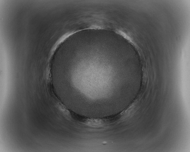 X0000087581215200704271259