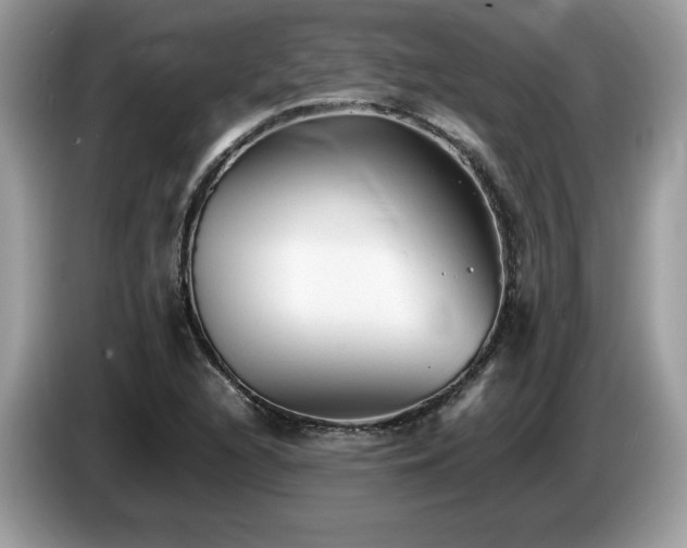 X0000087581216200704271259