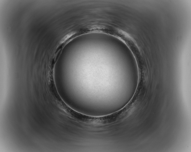 X0000087581217200704271259
