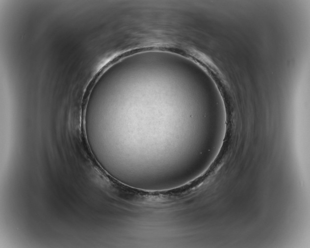 X0000087581220200704271259