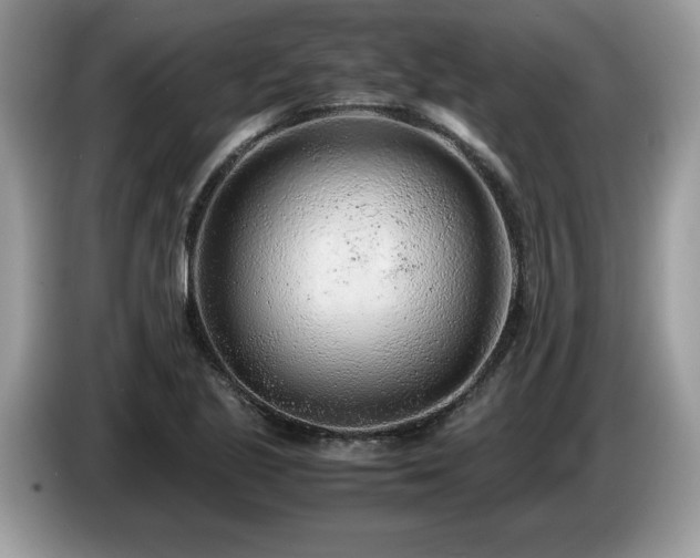 X0000087581221200704271259