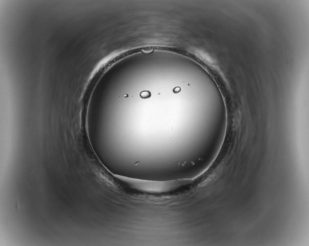 X0000087581222200704271259