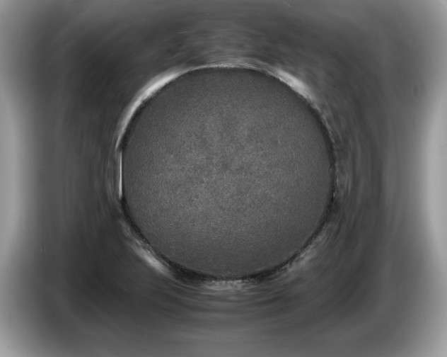 X0000087581223200704271259