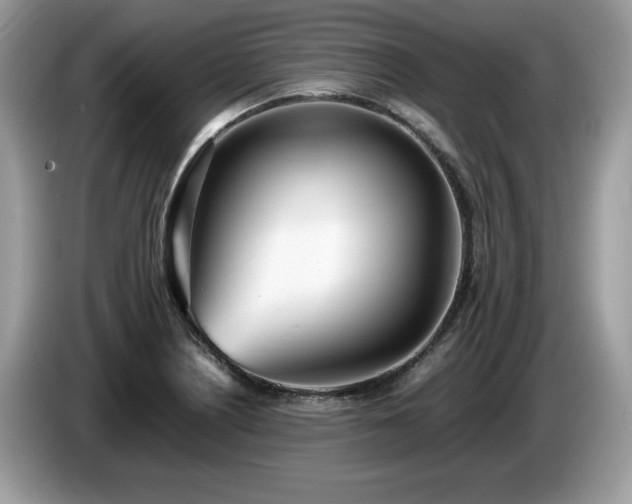 X0000087581226200704271259