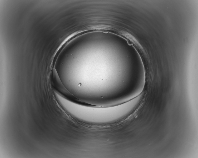X0000087581228200704271259