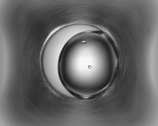 X0000087581230200704271259
