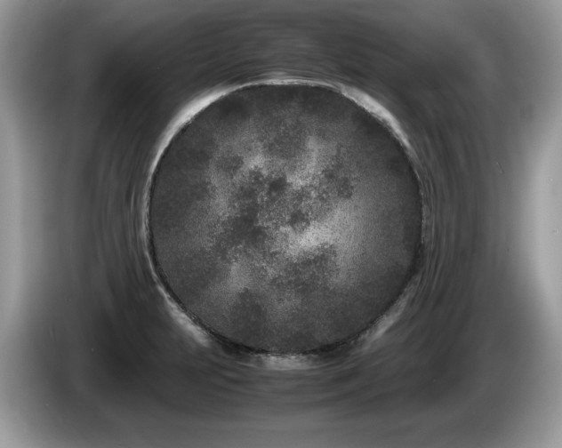 X0000087581231200704271259