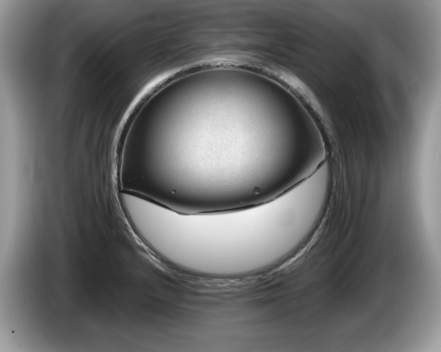 X0000087581232200704271259