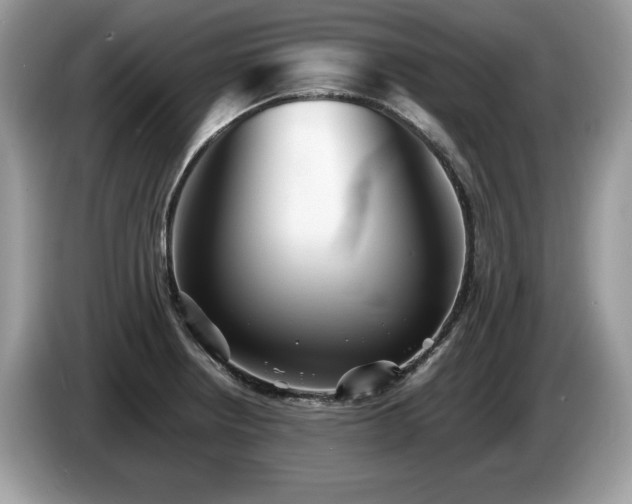 X0000087581234200704271259