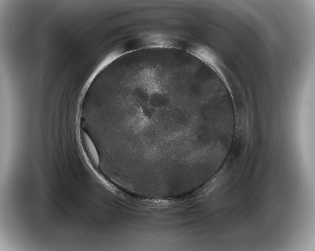 X0000087581235200704271259