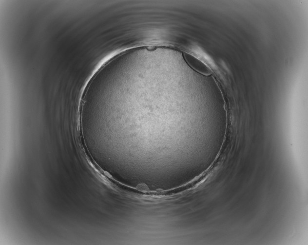 X0000087581236200704271259