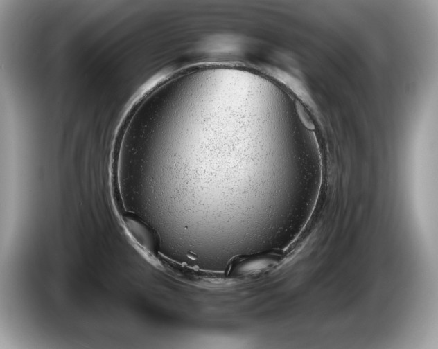 X0000087581237200704271259