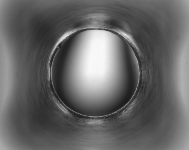 X0000087581238200704271259